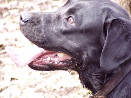 ������� ������...